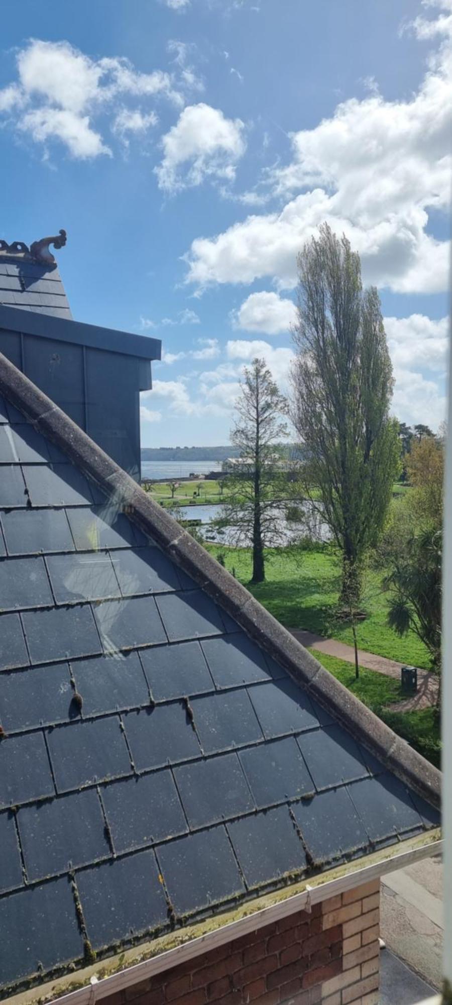 Rowcroft Lodge Guest House B&B Paignton Zewnętrze zdjęcie